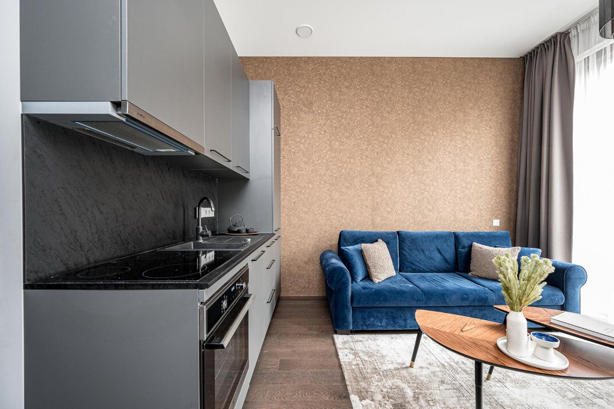 Vilnius Old Town Studio Renessaince 5 Ngoại thất bức ảnh